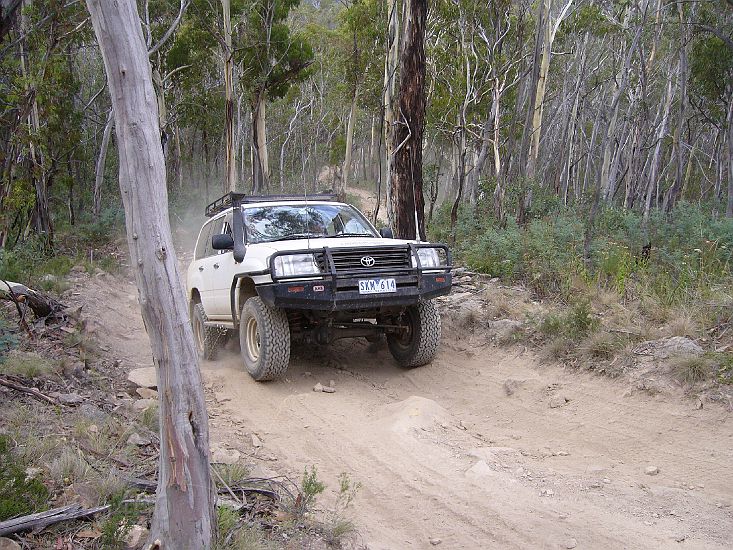 24-Poyda takes it easy up the Cobberas Trail.JPG
